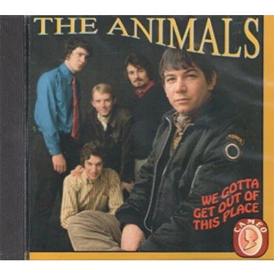 Image of We Gotta Get Out Of This Place [DVD]
