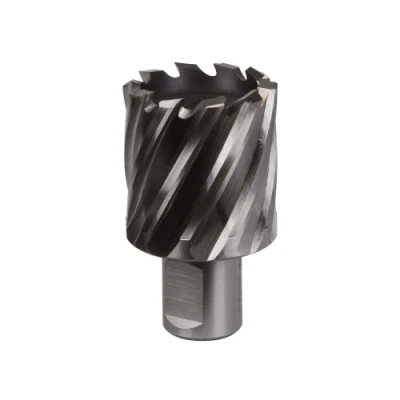 Image of Worksafe Rotabor Cutter HSS Ø36mm Cut Depth 25mm
