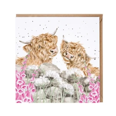 Image of Wrendale Designs by Hannah Dale Just For Moo&#039; Highland Cow Card