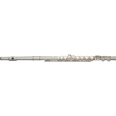 Image of Stagg WS FL111 Split &#039;E&#039; Flute Outfit with Case