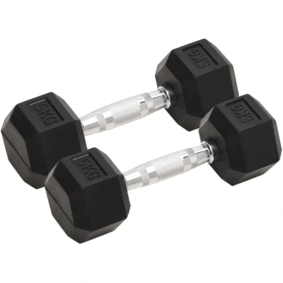 Image of vidaXL Dumbbells 2 pcs 10 kg Total Cast Iron