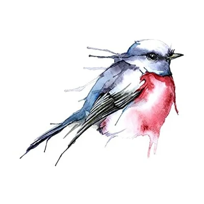 Image of Wee Blue Coo Bird Robin Watercolour Unframed Wall Art Print Poster Home Decor Premium