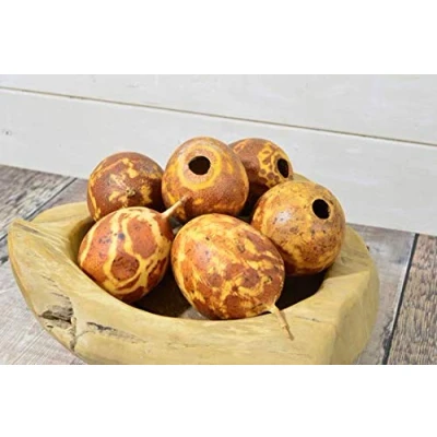 Image of Natural Crafts® dried Whole Passion fruit wreath making pot pourri pack of 6 (Fired Brown)