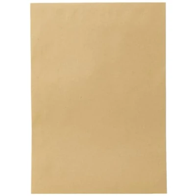 Image of Blake Purely Everyday C4 324 x 229 mm 90 gsm Pocket Gummed Envelopes (13854) Manilla Pack of 250