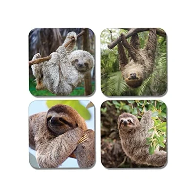 Image of 4 x Square Lazy Sloth Coasters Funny Wildlife Animals Chill Zoo Gift #77931