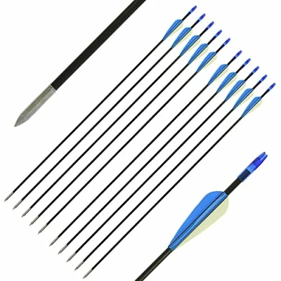 Image of 10x Fibreglass Archery Arrows Compound Recurve Lightweight Field Point Target Practice Blue &amp; White Vanes 26&quot; 28&quot; 30&quot; (10x Arrows)