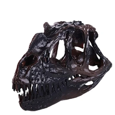 Image of Dinosaur Skull Replica Resin Crafts Exhibition Model Ceratosaurus Fossil Simulated Skeleton Home Office Display Decorative for Kids Gift (black)