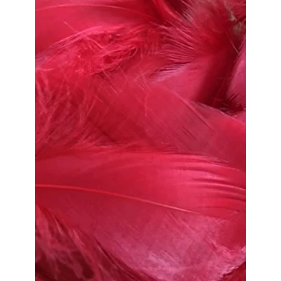 Image of Zebra Balloons Poppy Red Feathers, 100 Pack