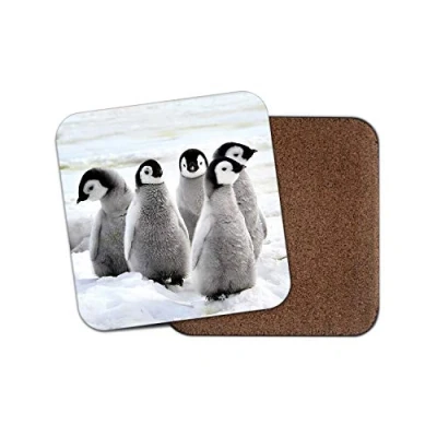 Image of 1 x Cute Penguin Drinks Coaster Animal Kids Funny Zoo Ice Snow #8554
