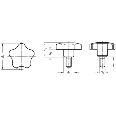 Image of Ganter Normelemente Stainless Steel Star Grip Screw GN 5334 60 M12 40 Matt Blasted Pack of 1