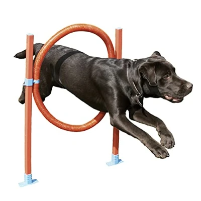 Image of Rosewood Dog Agility Jump includes Bag