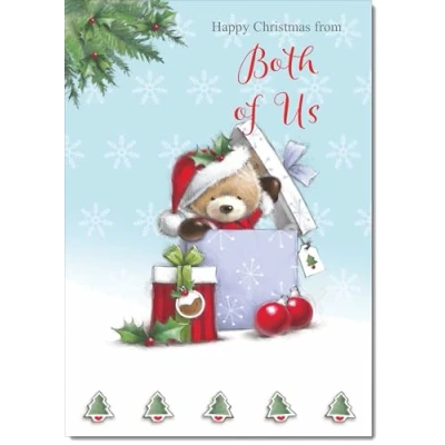 Image of doodlecards From Both Of Us Christmas Card Cute Bear Parcel Large A4 Size for with Plain Envelope