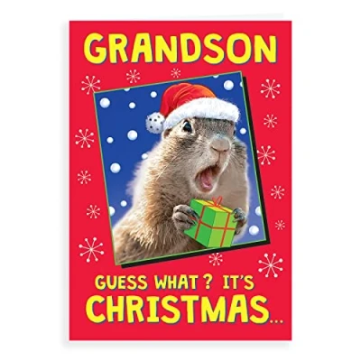 Image of Piccadilly Greetings Regal Publishing Humour Christmas Card Grandson 9 x 6 inches, C85536