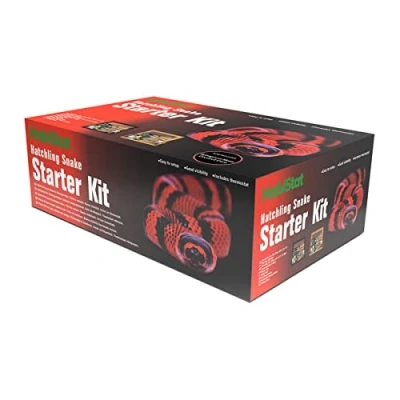 Image of Habistat Hatching Snake Starter Kit in Black