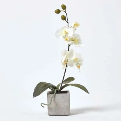 Image of HOMESCAPES White Orchid in Stone Pot 40 cm Artificial Flowers for Indoor &amp; Outdoor Decoration