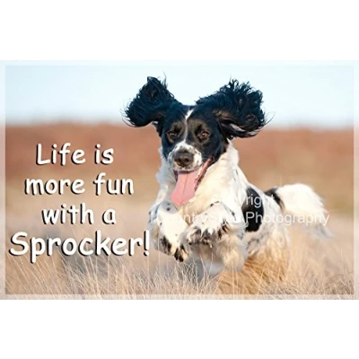 Image of Sprocker Spaniel Fridge Magnet Gift Life is more fun with a