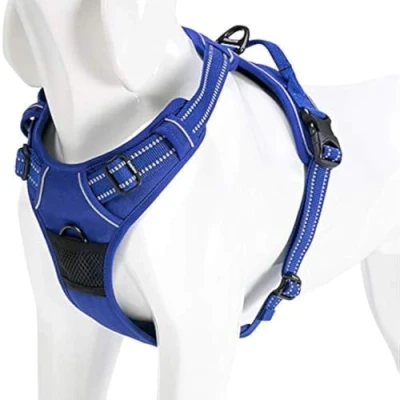 Image of WINHYEPET True Love Dog Harness, No Pull Reflective Pet Harness with 2 Leash Clips Adjustable Soft Padded Vest Easy Control Handle for Small Medium Large TLH5651(Royal Blue,S)