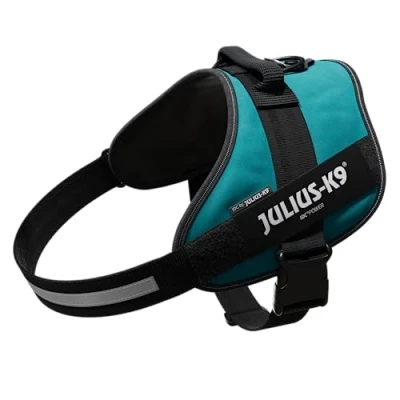 Image of Julius K9, 16IDC PG 4, IDC Powerharness, dog harness, Size: Petrol Green