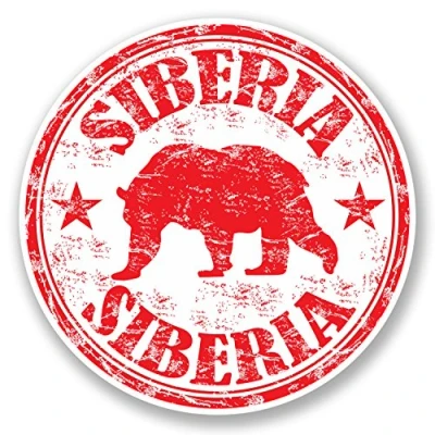 Image of 2 x 10cm Siberia Vinyl Sticker Bike Laptop Flag Luggage Travel Tag Bear #5599 (10cm 10cm)