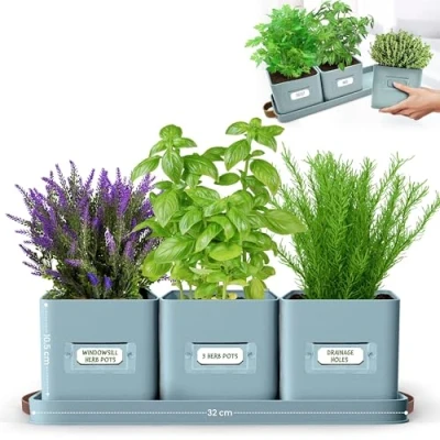 Image of Green Thumbz Herb Pots for Kitchen Windowsill Set of 3 Teal Blue Planter Indoor with Leather Handled Tray Ideal an Garden, Plants and Flowers Labels Included
