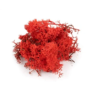Image of War World Scenics Lichen Red Moss Model Foliage 100g Railway Wargame Scenery Landscape Modelling Trees Bushes Hedges Diorama Basing Material