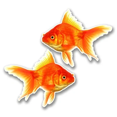 Image of 2 x 10cm Goldfish Vinyl Sticker Decal Laptop Kids Car Fish Aquarium #6289 (10cm Wide 8.2cm Tall)