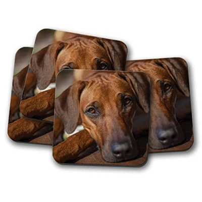Image of 4 Set Rhodesian Ridgeback Coaster Beautiful Dog Puppy Pets #12664