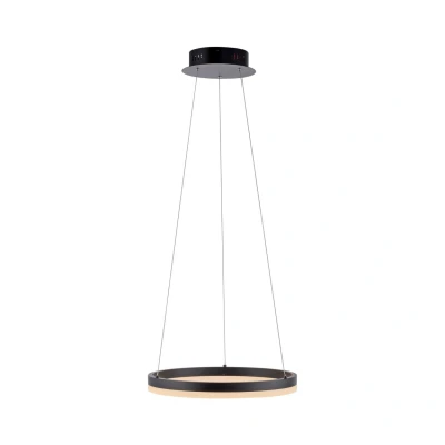 Image of Titus Pendant Ceiling Light Anthracite 1x 27W LED 3000K Dimmable