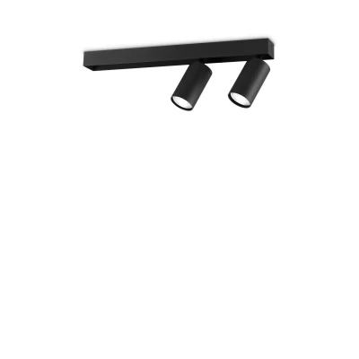 Image of Profilo 2 Light Twin Ceiling Spotlight Black