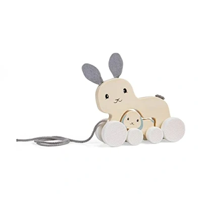 Image of Bigjigs Toys FSC® Certified Bunny &amp; Baby Pull Along Toy Eco Friendly Rabbit with Cord Push Along, Quality for 1 Year Olds, Wooden