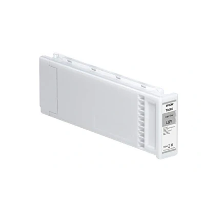 Image of EPSON Singlepack Gray T800900