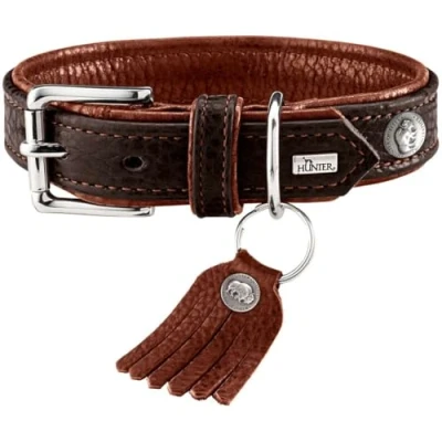 Image of HUNTER Collar Cody, 45, Small