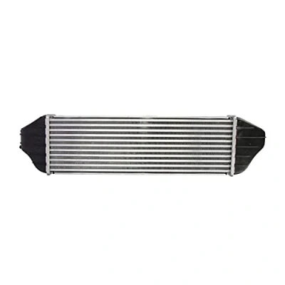 Image of 17113449191, 17113453727, 17513428579 Intercooler NISSENS 96128 without EGR valve BMW: X3