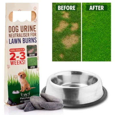 Image of Fairy Tails&#039; Pet Pebbles for Dog Water Bowls Urine Neutralizer Lawns, Stones Urine, Dogs Bowl Neutraliser/Dog Wee Neutraliser Grass