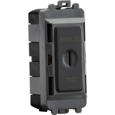 Image of KnightsBridge 20AX 2 way SP key module (marked EMG LTG TEST) anthracite