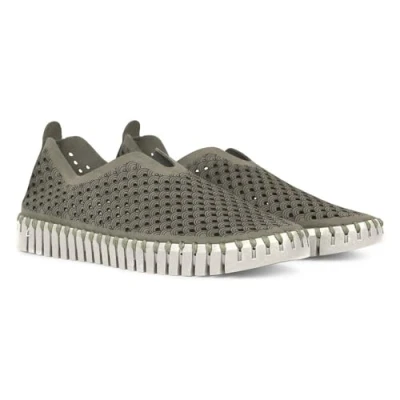Image of Ilse Jacobsen Women&#039;s Damen Sneaker Flach, Tulip3275, Light Green, 6 UK