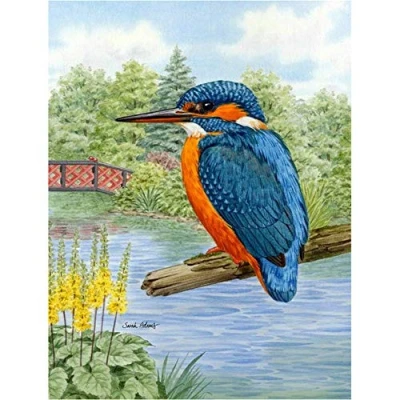 Image of 5D DIY Diamond Painting Art Set Kingfisher Square Crystal Rhinestone Full Drill Adults Kids Cross Stitch Embroidery Kits Mosaic Canvas Wall for Living Room Home Decor Crafts 30x40cm/12x16in C5752