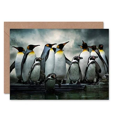 Image of Wee Blue Coo EMPEROR PENGUIN HUDDLE BIRDS ANTARCTICA BIRTHDAY BLANK GREETINGS CARD