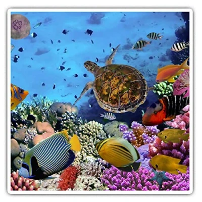 Image of Square Stickers (Set of 2) 7.5cm Tropical Coral Reef Underwater Sea Laptop Tablet Luggage Scrapbook #8475