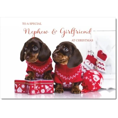 Image of doodlecards Nephew &amp; friend Christmas Card Two Dogs with Jumpers Medium Size Plain Red Envelope, 21 x 15cm