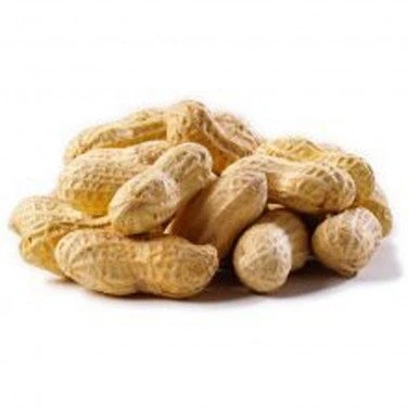 Image of Chubby Peanuts in Shells 12.5 kilogram, Monkey Nuts for Wild Birds &amp; Squirrels, Natural Food, Squirrels