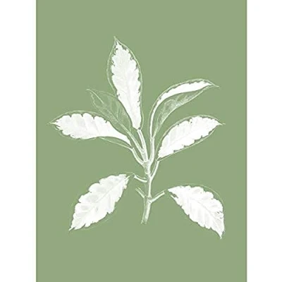 Image of Wee Blue Coo White and Green Exotic Leaves Unframed Art Print Poster Wall Decor 12x16 inch