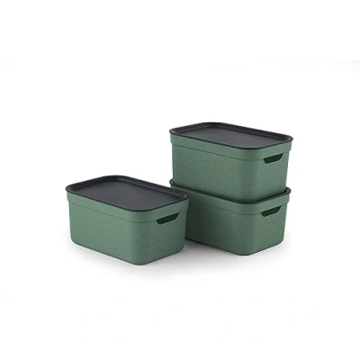 Image of Rotho Jive Dekobox Set of 3 storage box 5l with lid, Plastic (PP recycled), green/anthracite, 3x5l (26.5 x 18.5 13.2 cm)
