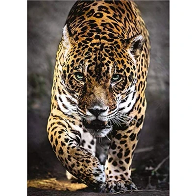 Image of MMAHD 5D DIY Diamond Art Painting Kits for Adults Full,Leopard Full Drill Embroidery Paintings Rhinestone Pasted Cross Stitch Arts Crafts Home Wall Decor 11.8x15.8Inches