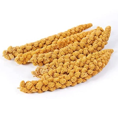 Image of Extra Select Millet Sprays 1kg