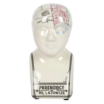 Image of Small Crackle Ceramic Phrenology Head Ornament White 9x16x8cm