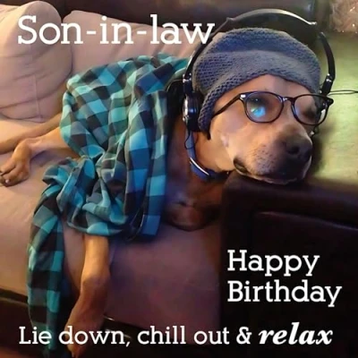 Image of Son in Law Birthday Card Funny/Humorous Dog Design Lie Down, Chill Out &amp; Relax Made the UK Eco Friendly