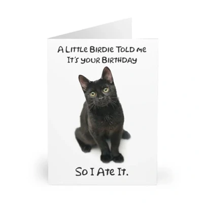 Image of Humorous Black Cat Birthday Card &#039;A Little Birdie Told Me&#039; Joke, Perfect for Lovers, Whimsical Fun, Blank Inside Personal Message