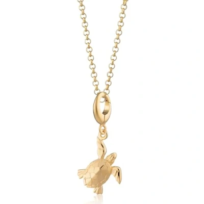 Image of Lily Charmed 18ct Gold Plated Turtle Necklace with 18&quot; Chain
