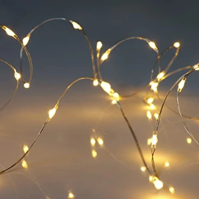 Image of Qbis Battery Powered Christmas Lights with 6hr Timer Mode. 30 LED Fairy Lights. Warm White Wire (30 White)